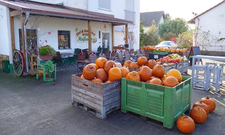 Obst und Gemüsehof Wurbs